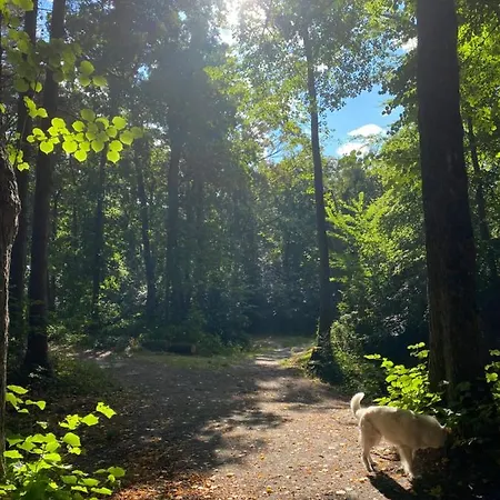 Casa Calida Lejlighed Warmenhuizen