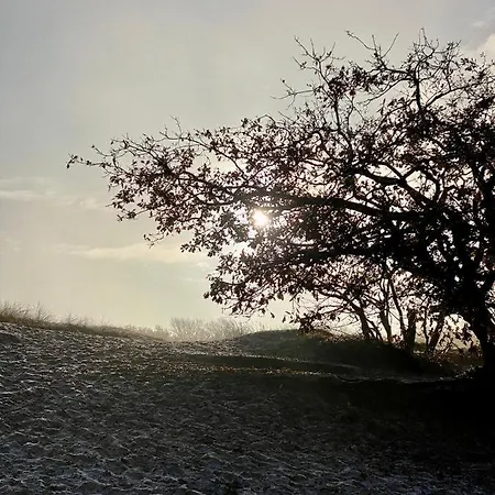 Casa Calida * Warmenhuizen