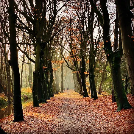 Casa Calida Warmenhuizen