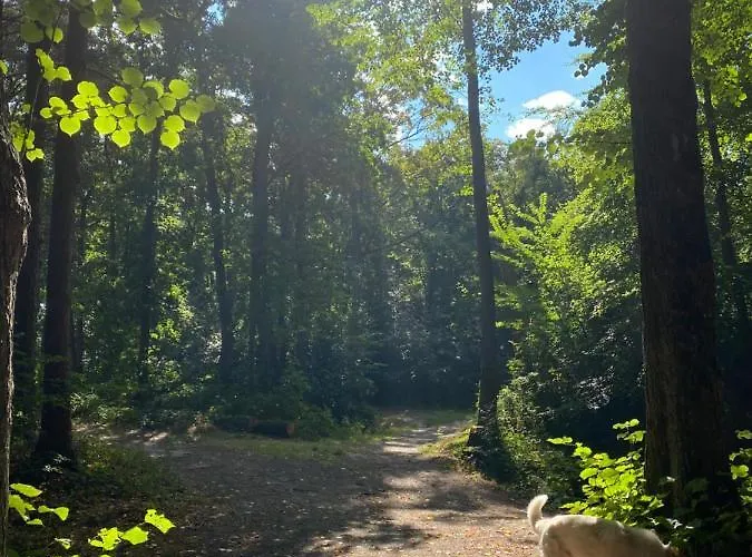 Casa Calida Apartman Warmenhuizen