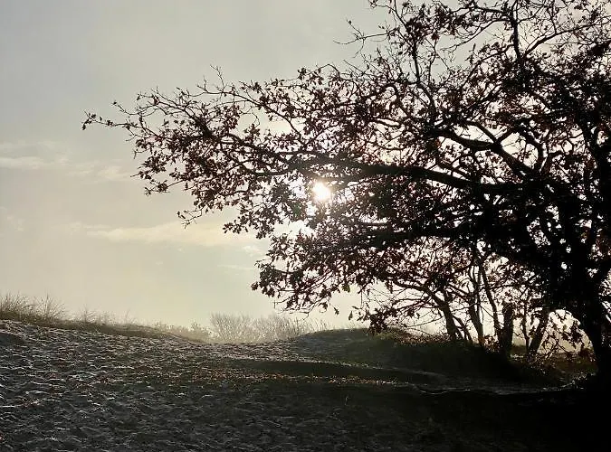 Casa Calida * Warmenhuizen